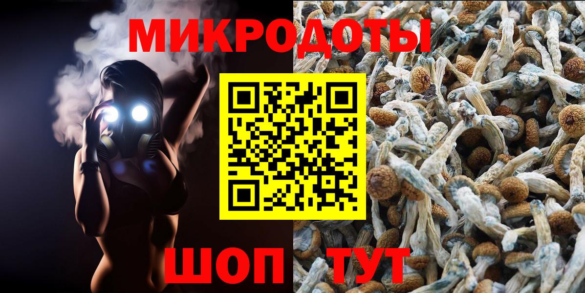 купить наркоту  Псилоцибиновые грибы Magic Shrooms  Вход с VPN  Нижний Новгород 